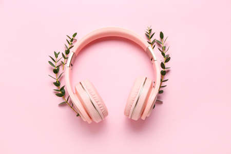 Modern headphones and green branches on color backgroundの写真素材