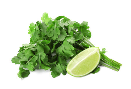 Fresh cilantro and lime on white backgroundの写真素材