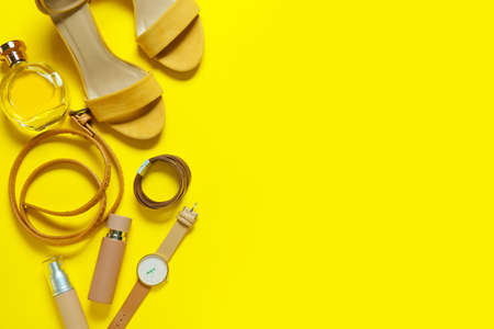 Stylish female accessories on color background