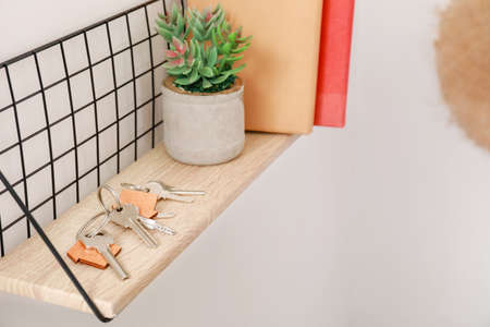 Shelf with keys, houseplant and books hanging on light wall