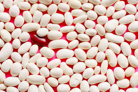 Red bean among white ones on color background. Concept of uniqueness