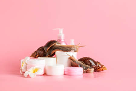 Giant Achatina snails and cosmetics on color backgroundの写真素材