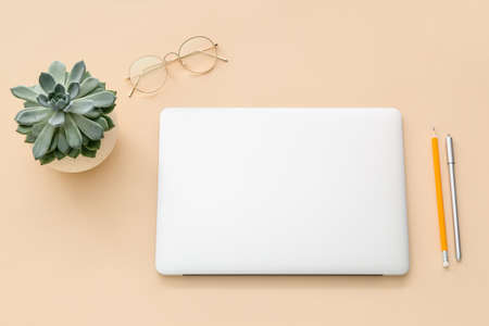 Composition with modern laptop, eyeglasses, pencils and houseplant on color backgroundの写真素材