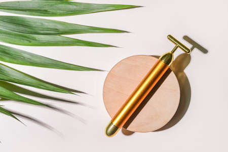 face massage roller on light backgroundの写真素材