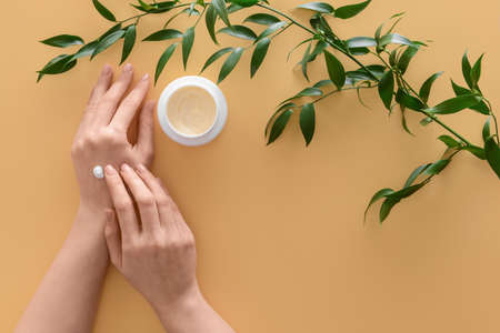 Female hands with jar of natural cream and green leaves on color backgroundの写真素材