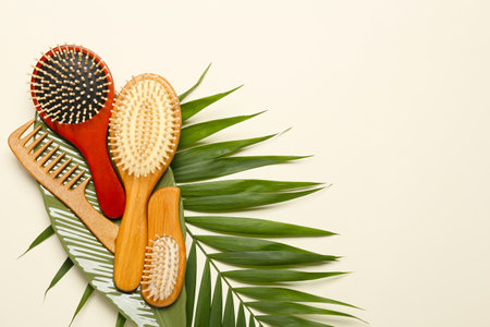 Composition with hair brushes, comb and palm leaf on color backgroundの写真素材