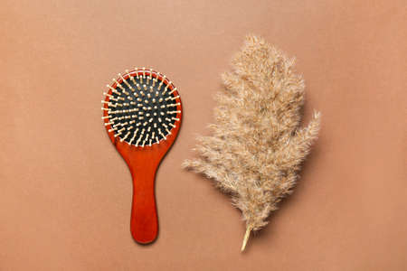 Hair brush and floral decor on color backgroundの写真素材