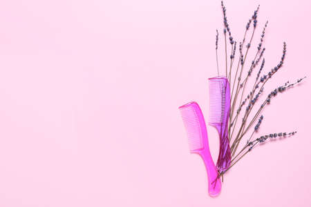 Hair combs and flowers on color backgroundの写真素材
