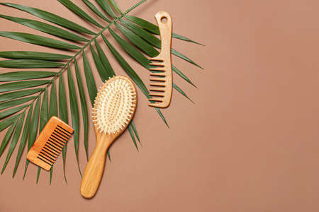 Hair brush, combs and palm leaf on color backgroundの写真素材