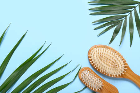 Hair brushes and palm leaves on color backgroundの写真素材