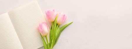 Blank notebook and tulips on light background with space for textの写真素材