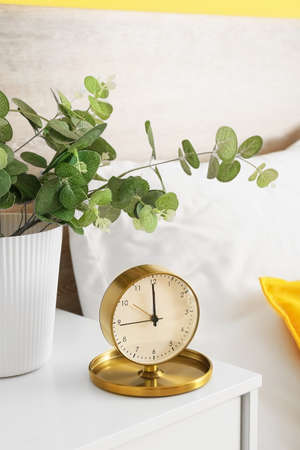 Alarm clock and houseplant on shelf in bedroom, closeupの写真素材