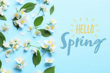 Beautiful jasmine flowers with text HELLO SPRING on color backgroundの写真素材