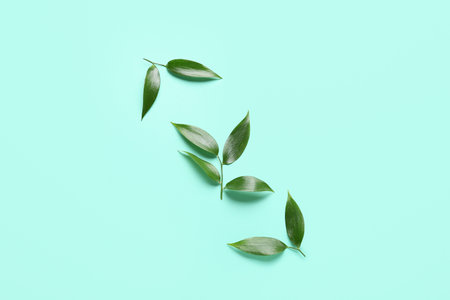 green tea leaves on color background