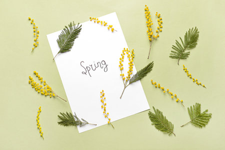 Beautiful mimosa flowers and paper sheet with word SPRING on color backgroundの写真素材