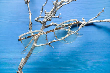 Stylish eyeglasses and branch on color wooden background