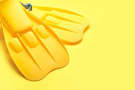 Stylish flippers on color backgroundの写真素材