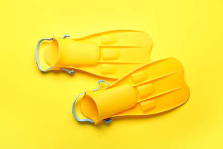 Stylish flippers on color backgroundの写真素材