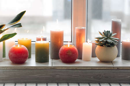Burning candles and houseplant on windowsillの写真素材