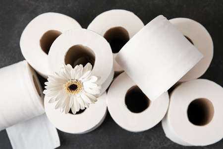 Rolls of toilet paper and flower on dark background, closeupの写真素材