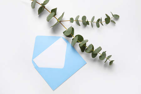 Envelope with blank card and eucalyptus on white backgroundの写真素材