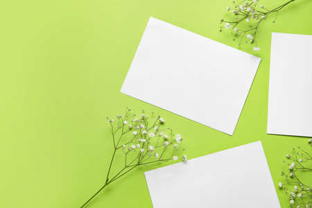Blank cards and flowers on color backgroundの写真素材