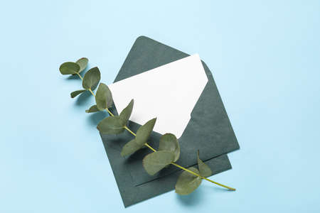 Envelopes with blank card and eucalyptus on color backgroundの写真素材