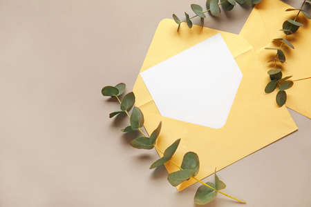 Envelopes with blank card and eucalyptus on gray backgroundの写真素材