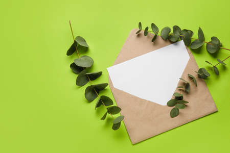 Envelope with blank card and eucalyptus on color backgroundの写真素材