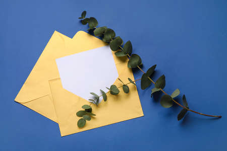 Envelopes with blank card and eucalyptus on color backgroundの写真素材
