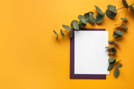 Blank card and eucalyptus on color backgroundの写真素材