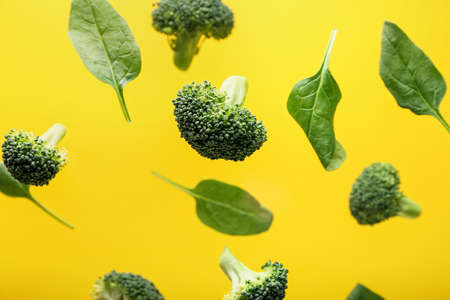 Flying broccoli and spinach on color background