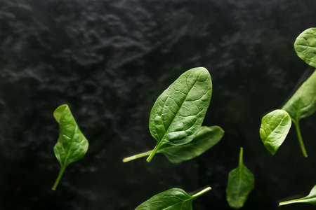 Flying spinach leaves on dark backgroundの写真素材