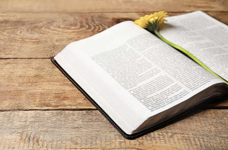 Open Holy Bible and flower on wooden background, closeup