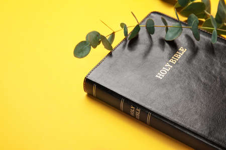 Holy Bible and eucalyptus branch on color background, closeupの写真素材