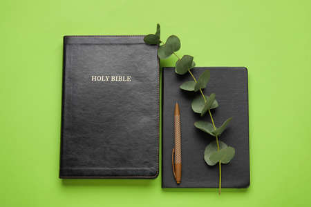 Holy Bible, notebook and eucalyptus branch on color background