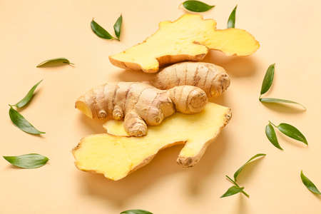 Composition with fresh ginger on color background