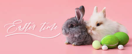Beautiful greeting card for Happy Easter with cute rabbits and eggsの写真素材