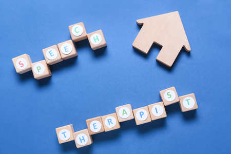 Cubes with text SPEECH THERAPIST and house figure on color background