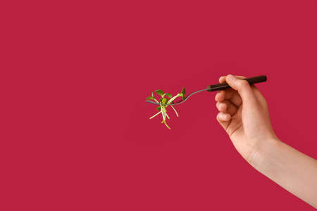 Female hand with fresh micro green on fork against red background, closeupの写真素材