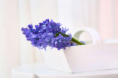 Basket with beautiful hyacinth flowers on table, closeupの写真素材