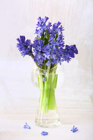 Vase with beautiful hyacinth flowers on light background