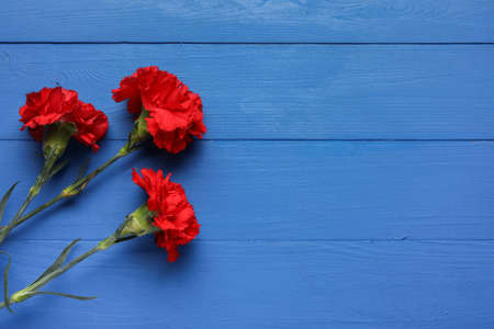 Fresh carnation flowers on color wooden background