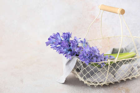 Basket with beautiful hyacinth flowers on light background