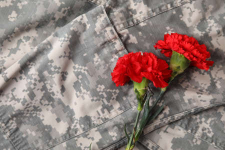 Fresh carnation flowers with military uniformの写真素材