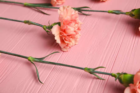 Fresh carnation flowers on color wooden backgroundの写真素材