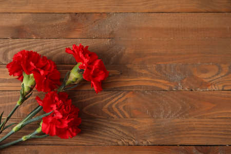 fresh carnation flowers on wooden background