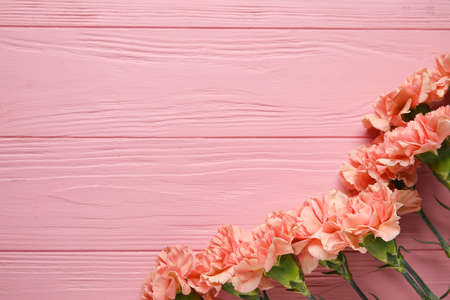 Fresh carnation flowers on color wooden backgroundの写真素材