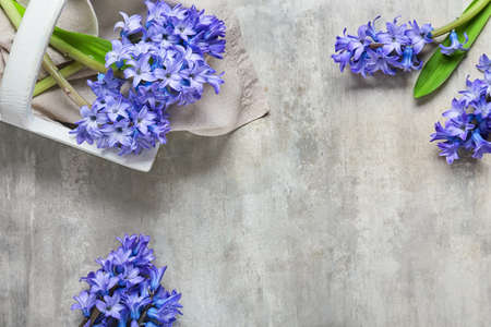 Basket with beautiful hyacinth flowers on light backgroundの写真素材