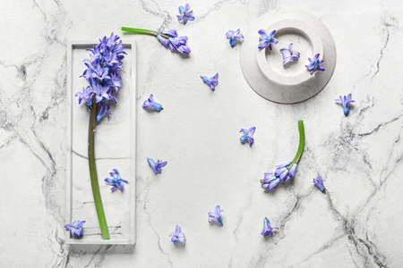 Composition with hyacinth flowers on light backgroundの写真素材